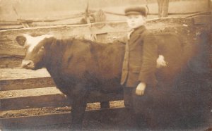 Black and White Photo Cow Unused real photo