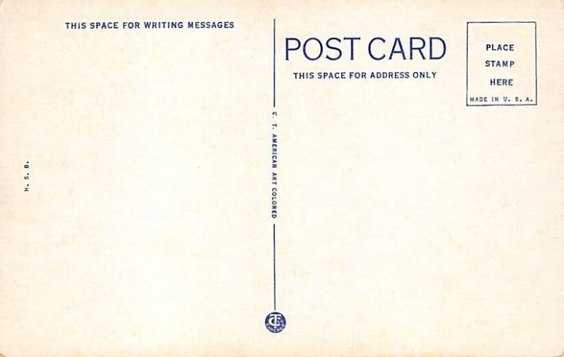 Bull Fighting Unused 