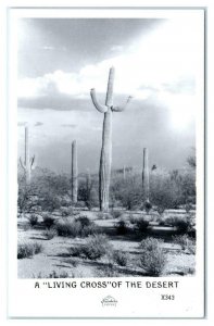 RPPC SOUTHWEST~  AZ? ~ A LIVING CROSS of the DESERT  c1940s Frasher Postcard