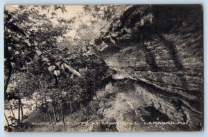 c1941 Lanagan Missouri Vintage Postcard Along Bluffs Bosky Dell Roks Exterior