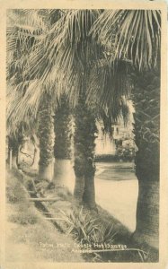 Arizona Castle Hot Springs Palm Walk C-1910 RPPC Photo Postcard 21-12029