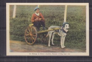 CANADA, QUEBEC, DOG CART, c1930 ppc., unused.