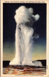 Yosemite National Park Old Faithful Geyser 1951 Curteich