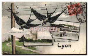 Old Postcard Remembrance Lyon Swallows
