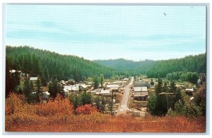 c1960's Bird's Eye View Of Residences In Pierce Idaho ID Unposted Trees Postcard