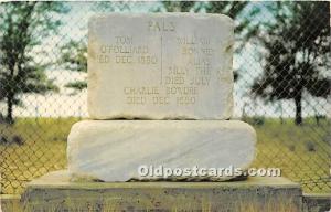 The Graves of Bily the Kid and Two of his pals Famous People Unused 