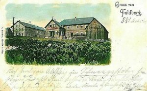 11710 - postcards POSTCARD - Germany GERMANY - GREETING FROM Feldberg-