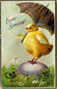Greeting - Easter  (chick with umbrella)