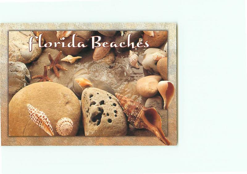 Vintage Postcard Greetings Beaches Shells Starfish Clams Sand   Florida  # 3093