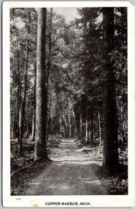 Copper Harbor Michigan MI Trees Pathway Trail Postcard