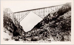 Dead Horse Gulch White Pass Yukon Railroad Bridge Unused Real Photo Postcard H37