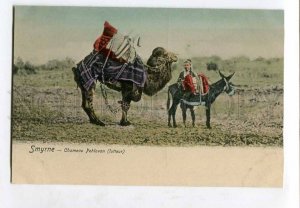 415604 TURKEY SMYRNE Pehlavan lutteur camel and DONKEY Vintage tinted postcard