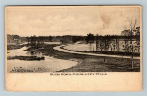 Middlesex Fells MA, Duck Pond, Vintage Massachusetts Postcard