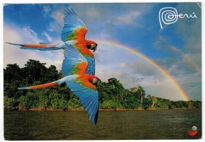 Peru 2015 Unused Postcard Amazon River Birds Parrots Ara