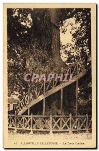 Old Postcard Bellefosse Abbey Tree The big oak