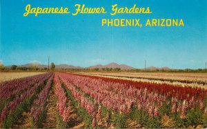 Postcard Arizona Phoenix Japanese Flower gardens 1950s Petley 23-7716