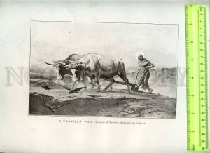 231268 FRANCE SALON 1894 PERRAULT pigeon girl CHARTRAN POSTER