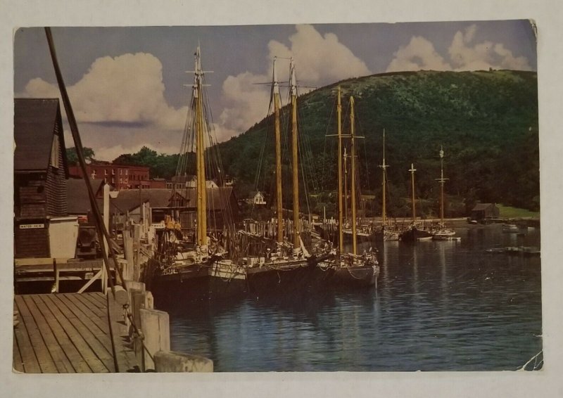 Vintage Large 9x6 Postcard Sailboats Camden Harbor Maine Kodachrome RPPC