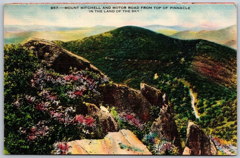 Vtg Asheville North Carolina NC Mount Mitchell Motor Road At Pinnacle Postcard