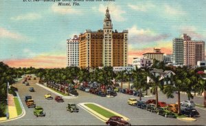 Florida Miami Biscayne Boulevard South From 5th Street Curteich