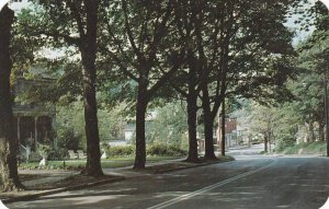 New York Sharon Springs Main Street