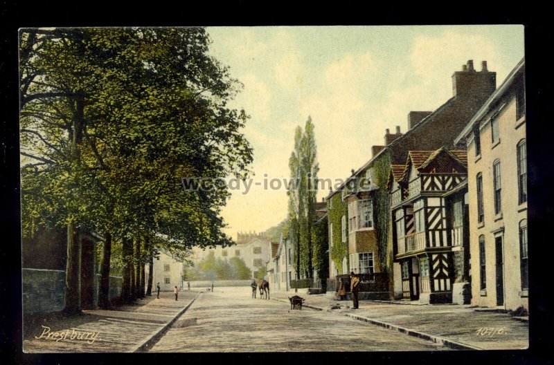 TQ2939 - Cheshire - Early View down one of the Streets in Prestbury - postcard