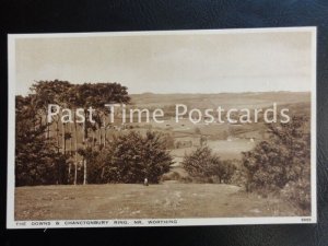 Vintage PC - Worthing, The Downs & Chanctonbury Ring
