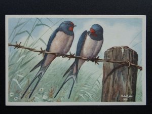 Bird Theme SWALLOW Artist H.J. Slijper c1950s Postcard by R.S.P.B.