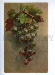 161485 GRAPES by C.T.H. Vintage Color PC