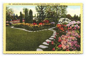 Azaleas & Rhododendrons Lambert Gardens Portland Oregon Postcard