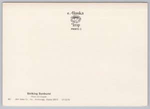 State View~Striking Sunburst @ Anchorage Alaska~Continental Postcard