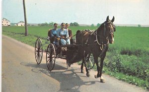 Buggy Ride Pennsylvania Dutch Country, USA Unused 