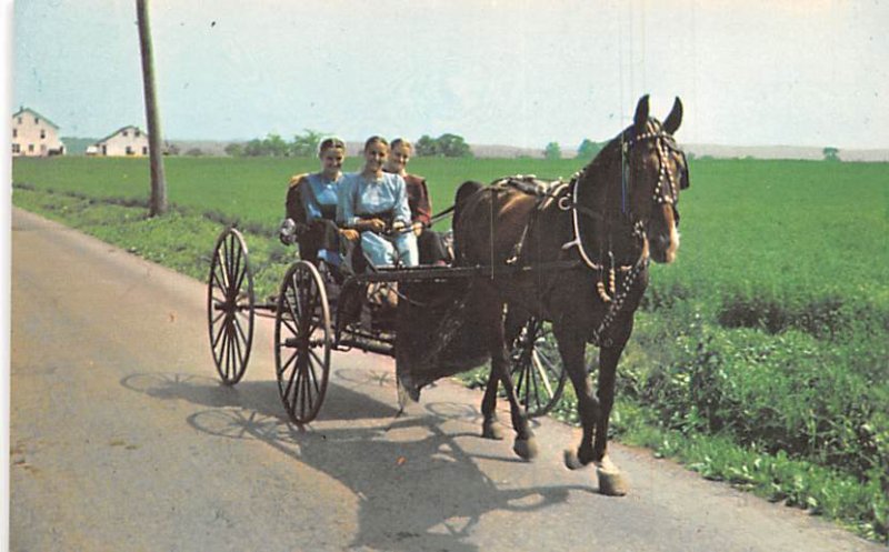 Buggy Ride Pennsylvania Dutch Country, USA Unused 