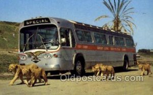 Greyhound Bus Unused 