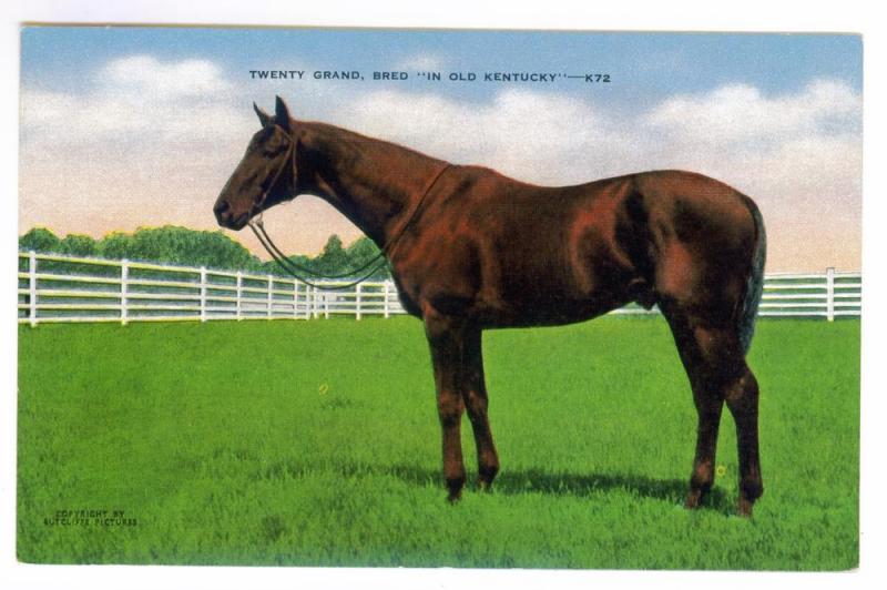 Twenty Grand Bred In Old Kentucky unused Kropp Linen Postcard; Horse