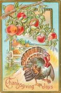 Thanksgiving Joys, Turkey, Apple Tree, Embossed, Series No. 7