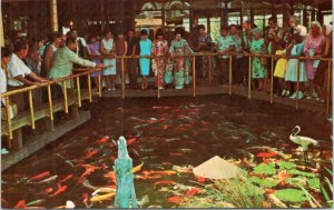 Postcard Hawaii Honolulu - The Pagoda Hotel -  Carp feeding time