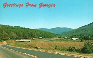 Vintage Postcard Greetings from Georgia Richard B. Russell Scenic Highway