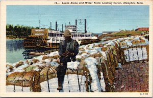 Postcard TN Memphis - Levee Scene and Water Front - Loading Cotton