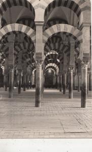 BF32356 cordoba mezquita laberituo columnas spain  front/back image