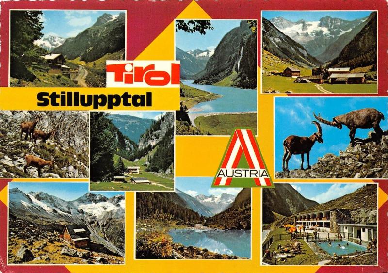 B31956 FeriengruBe aus Mayrhofen und dem Stillupptal   austria