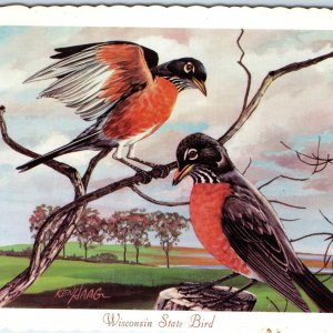 1966 WI, Wisconsin State Bird Robin Thrush Percher Ken Haag Painting Art PC A335