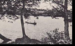 New York Livingston Manor White Roe Lake Albertype