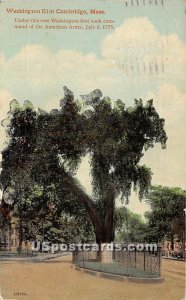 Washingotn Elm - Cambridge, Massachusetts MA Postcard