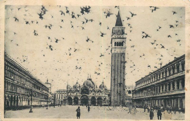 Italy Venice 1930s postcard St. Mark Square pigeons