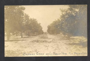 RPPC ORANGE GROVE ON LAVELLE PARK FLORIDA PRAIRIELAND REAL PHOTO POSTCARD