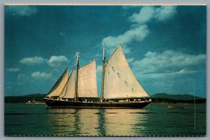 Postcard Maine c1960s Windjammer Gloucester Fishing Schooner