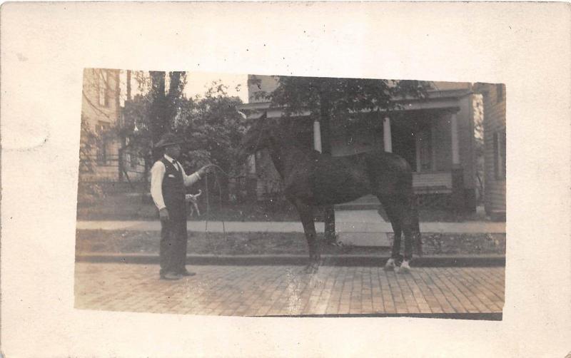 D92/ Horse Animal Real Photo RPPC Postcard c1910 Training Occupational Work 17