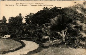 CPA AK Martinique F de France Palmeraie du Jardin Desclieux MADAGASCAR (625369)