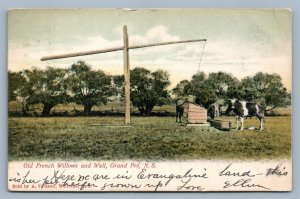 GRAND PRE NS CANADA OLD FRENCH WILLOWS & WELL ANTIQUE PRIVATE POSTCARD